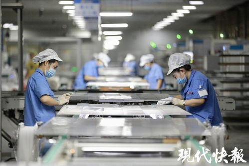 高質量發展調研行 逐 光 前行,宿遷光伏產業再進階