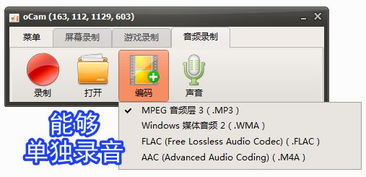 錄屏小將 ocam 全能錄屏、截圖與錄音的得力助手